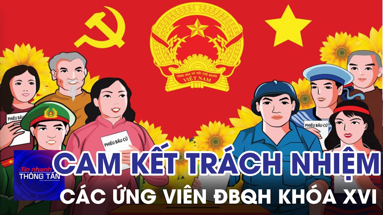 Cam kết trách nhiệm của các ứng cử viên ĐBQH khóa XVI | Tin nhanh Thông tấn
