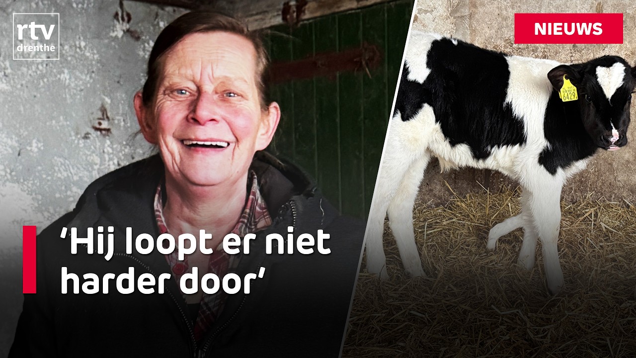 Kalf Pootje heeft niet vier maar vijf poten | RTV Drenthe