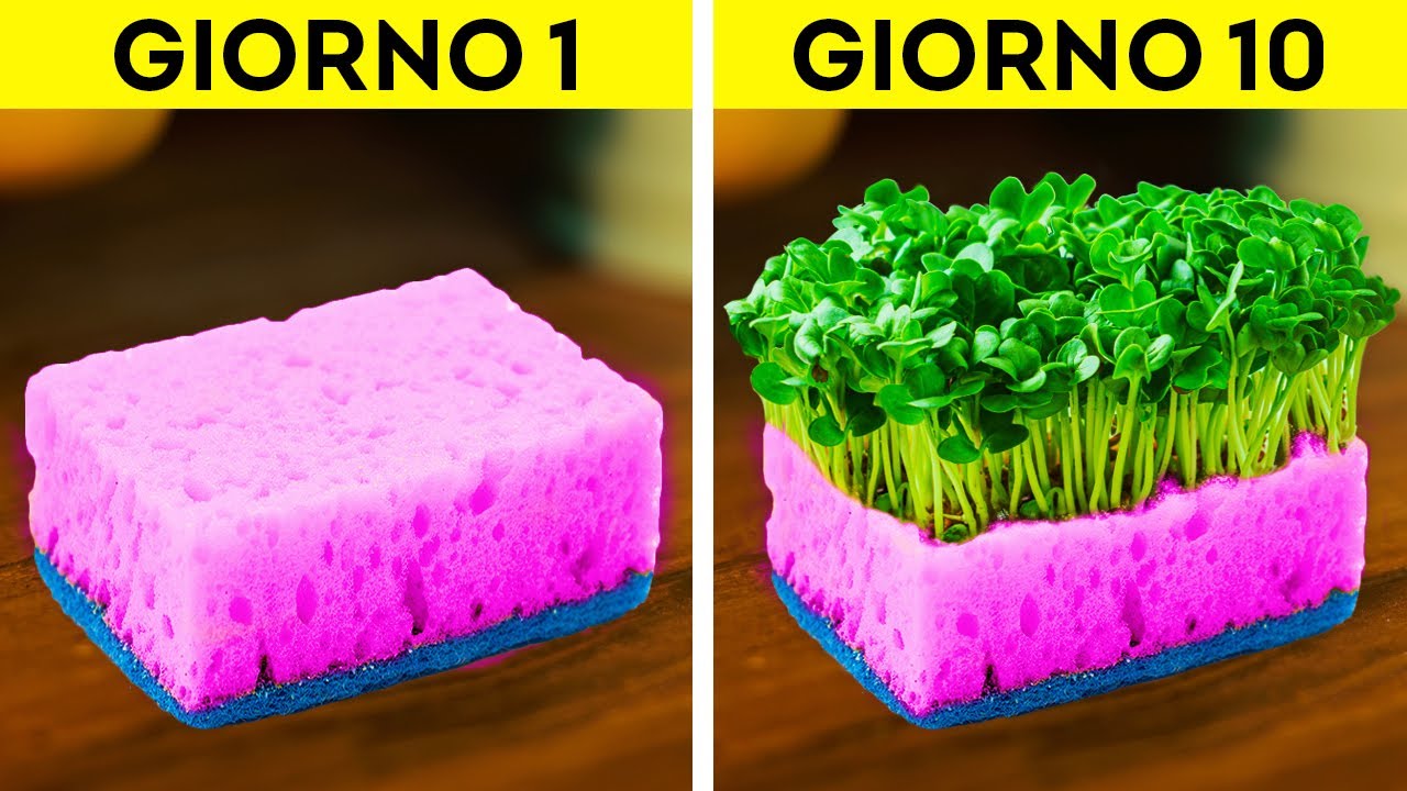 TRUCCHI UTILI PER FARE GIARDINAGGIO