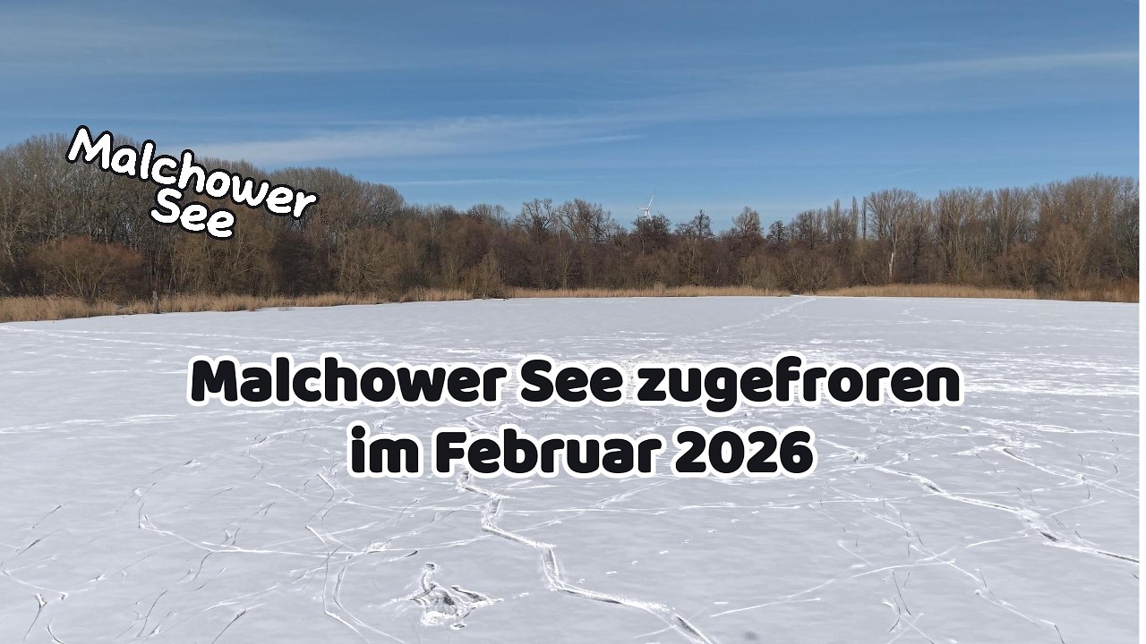 Malchower See zugefroren im Februar 2026