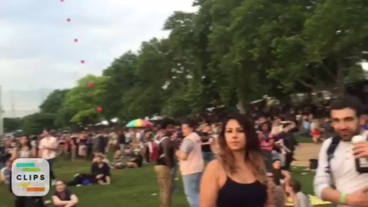 Gov Ball 2015 recap video