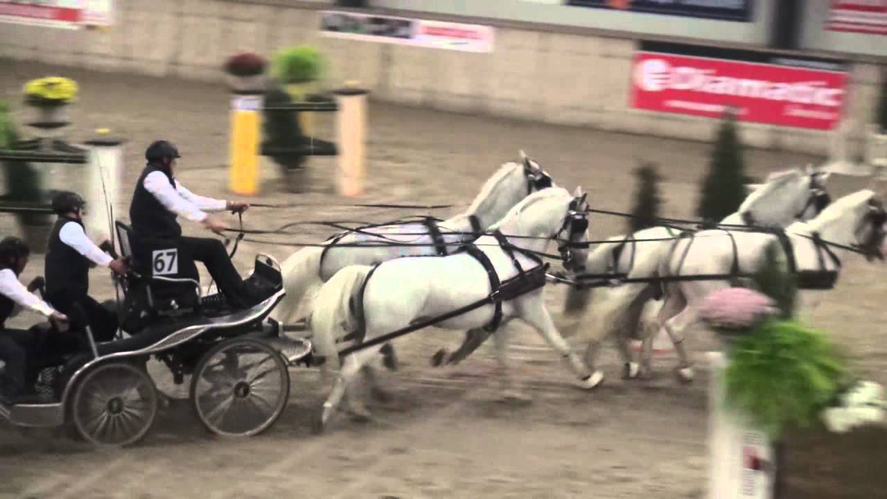 IJsbrand Chardon winnaar showgroep 4span paard Voornruiters 2015