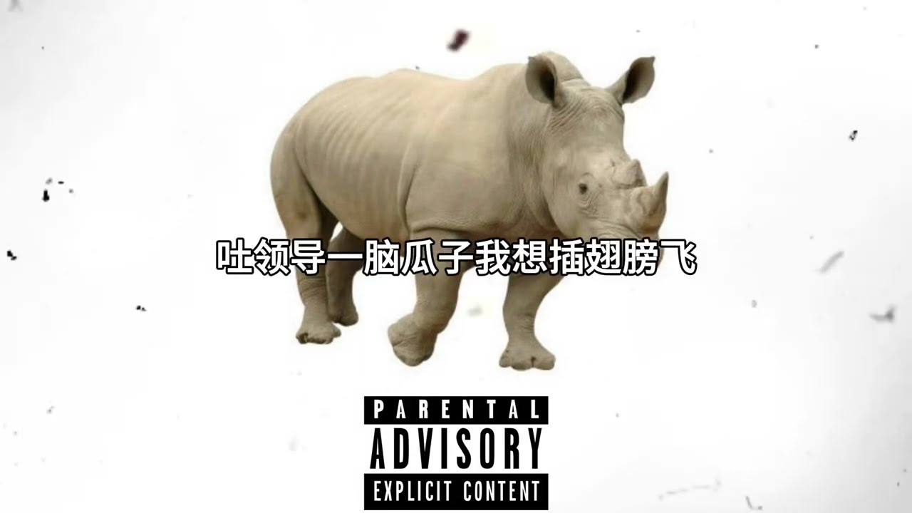 临河街小偷/Catstar《东北应酬》Lyric Music Video #文艺复兴 #东北说唱 #中文饶舌 #华语嘻哈 #DBC东北岸 @DongBeiCoast