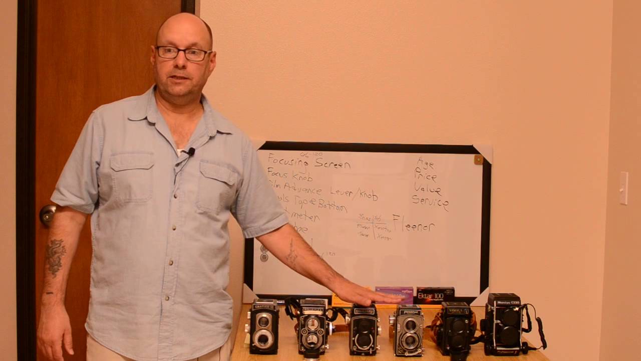 Intro to TLRs
