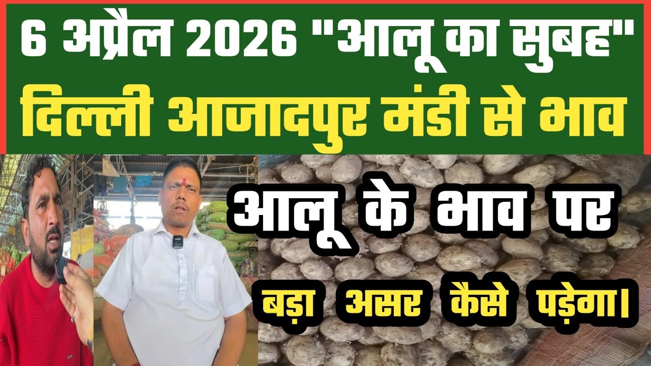 आलू बाज़ार से कितनी उम्मीदें, Azadpur Delhi Mandi Today में 06-04-2026 के Potato Price DMT TV