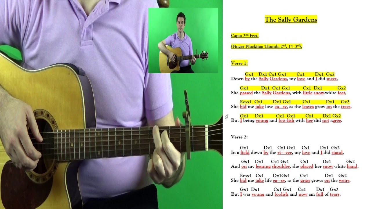 Trad Success - Guitar - Video 51 - The Sally Gardens.