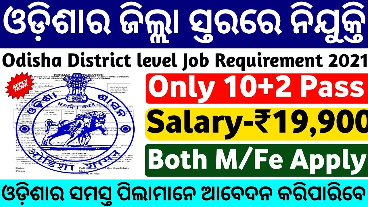 Odisha District level jobs|Odisha block level jobs 2021|odisha govt jobs 2021|Odisha jobs 2021