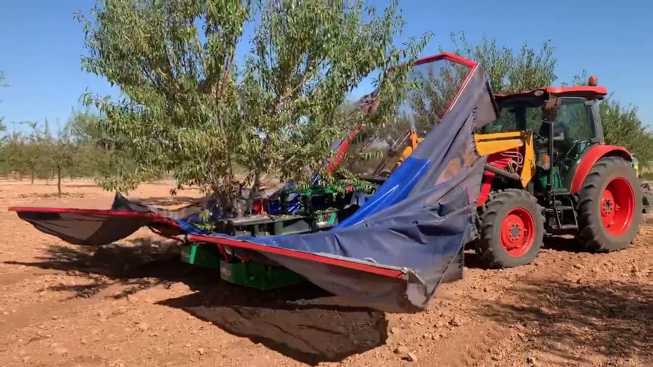 KUBOTA + PARAGUAS MARTIN BOHORQUEZ = PAREJA PERFECTA.