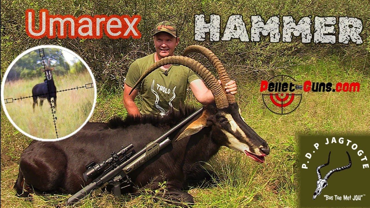 Umarex Hammer .50 Cal Sable hunt in South Africa with Thor slugs