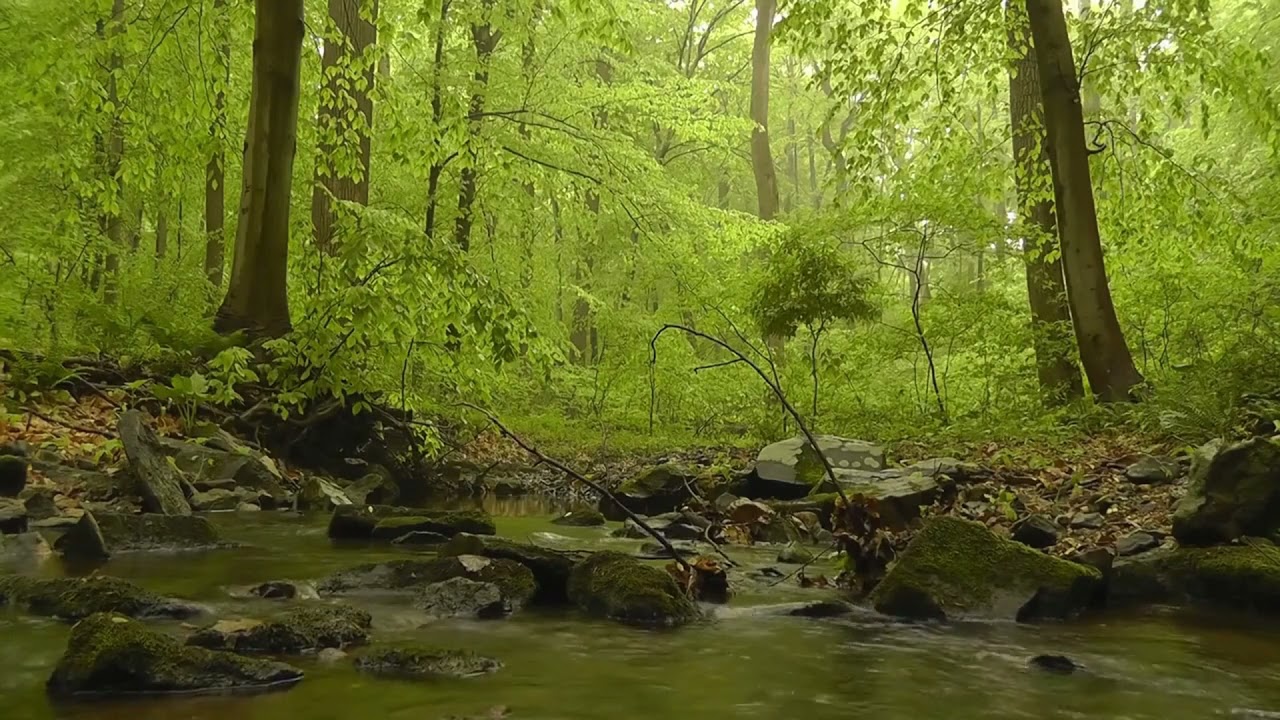 1 Hour Relaxation with a River Running