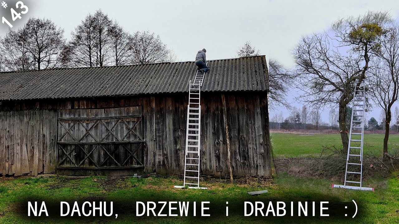 Siedlisko - reanimacja odc.143 