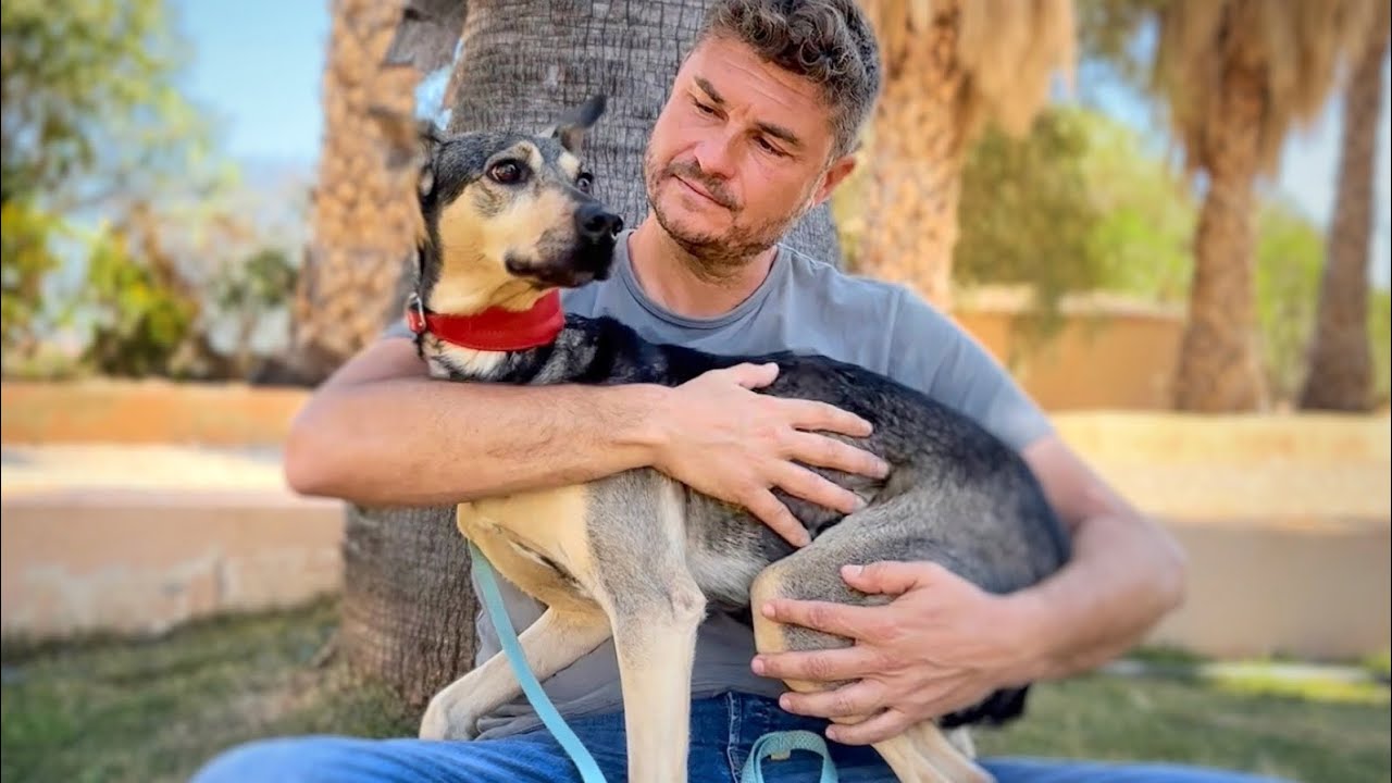 Perrita maltratada aprende a ser querida !!