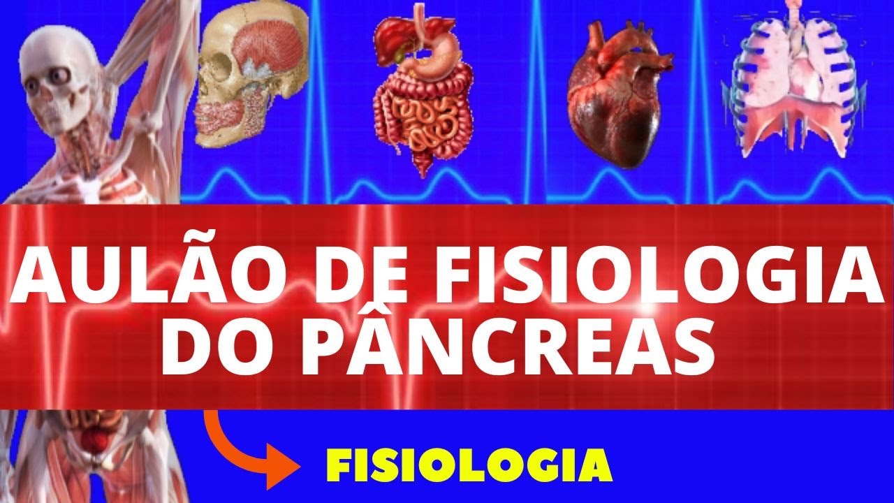 FISIOLOGIA DO PÂNCREAS (PÂNCREAS ENDÓCRINO E EXÓCRINO) - FISIOLOGIA DE GUYTON - FISIOLOGIA HUMANA