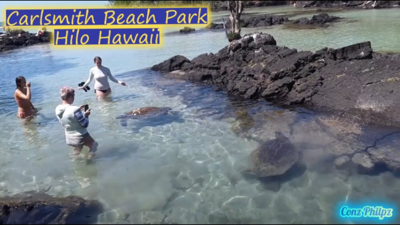 HAWAII VLOG || Carlsmith Beach Park Hilo Hawaii|Turtles| Conz Philpz