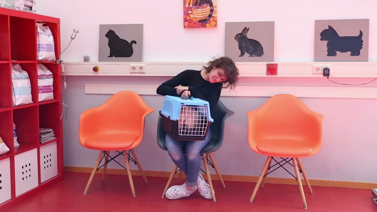 Met je kat in de wachtkamer