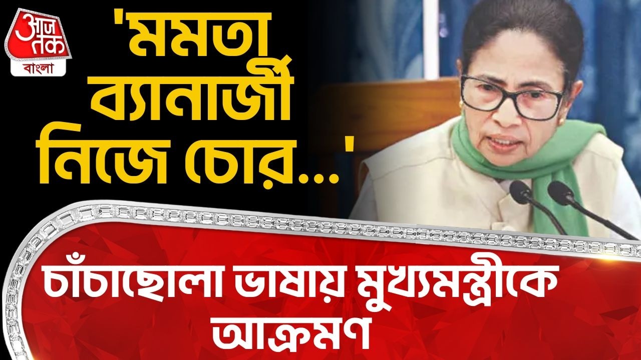 'মমতা ব্যানার্জী নিজে চোর...'চাঁচাছোলা ভাষায় মুখ্যমন্ত্রীকে আক্রমণ| Adhir Chowdhury| Mamata Banerjee