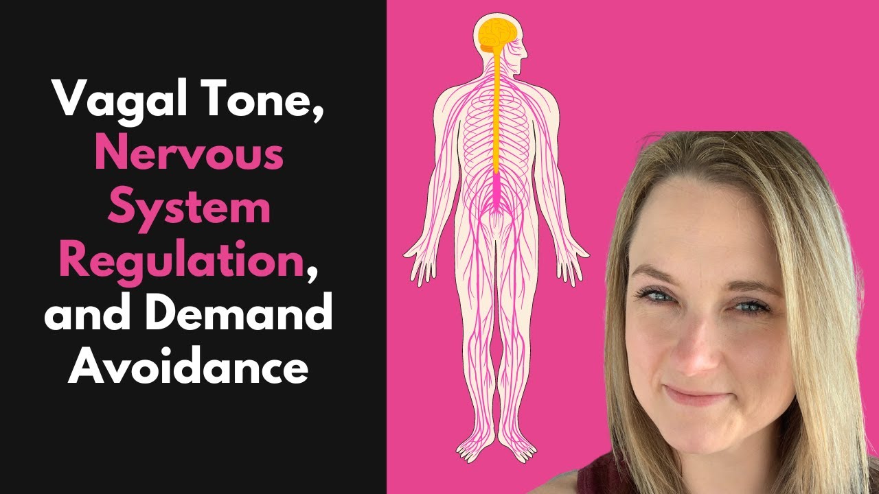 Vagal Tone, Nervous System Regulation and Demand Avoidance
