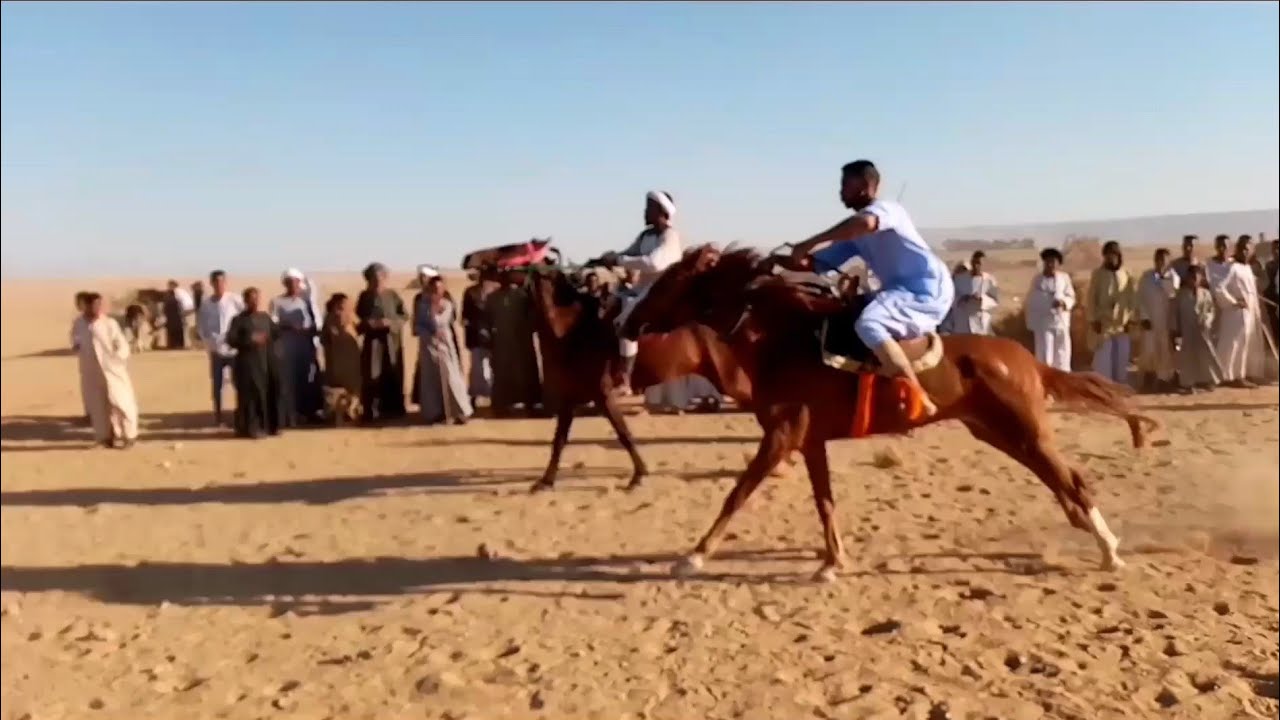 سباق الخيل في الصعيد في ثاني أيام العيد