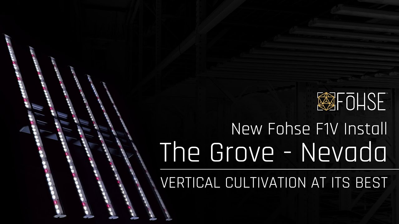 New Install! | Fohse F1V at The Grove Nevada