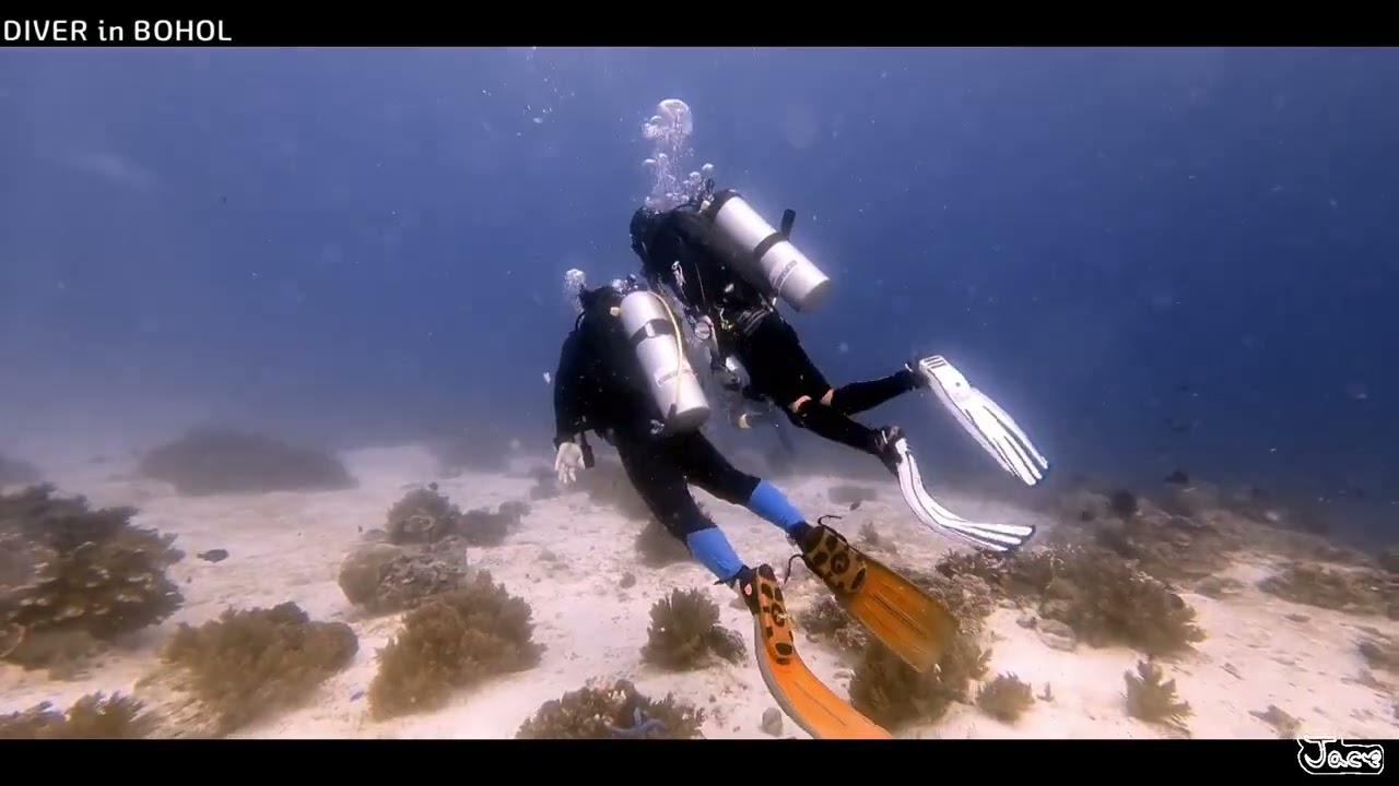 발리카삭 in BOHOL (DIVER 2)