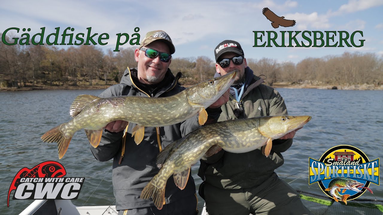 Trumman och Thomas fiska på Eriksberg efter fredningsperioden | Catch with Care | Småland Sportfiske