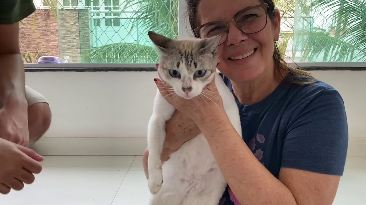 ADOTAMOS 17 GATOS DE RUA!! - Família Velhote
