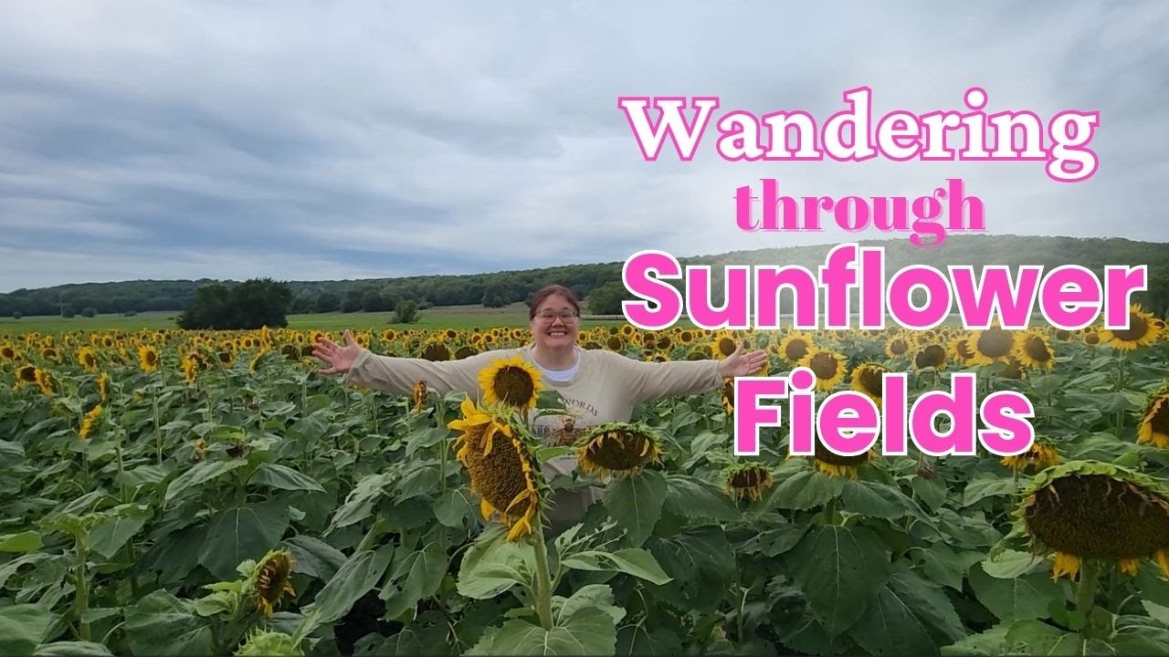Sunflowers, Friends & Country Roads | Simple Summer Joy