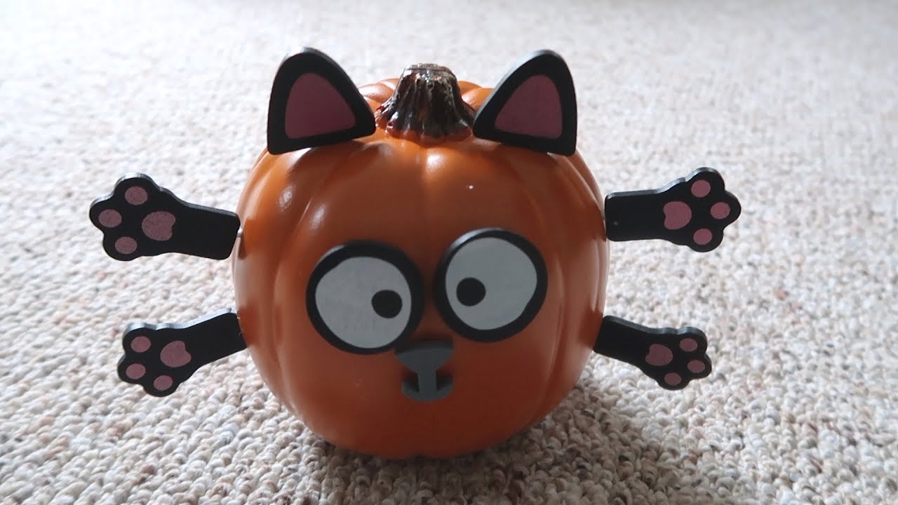 Boo Day 93 - Halloween Pumpkin Cat - Training and Socializing A Feral Cat