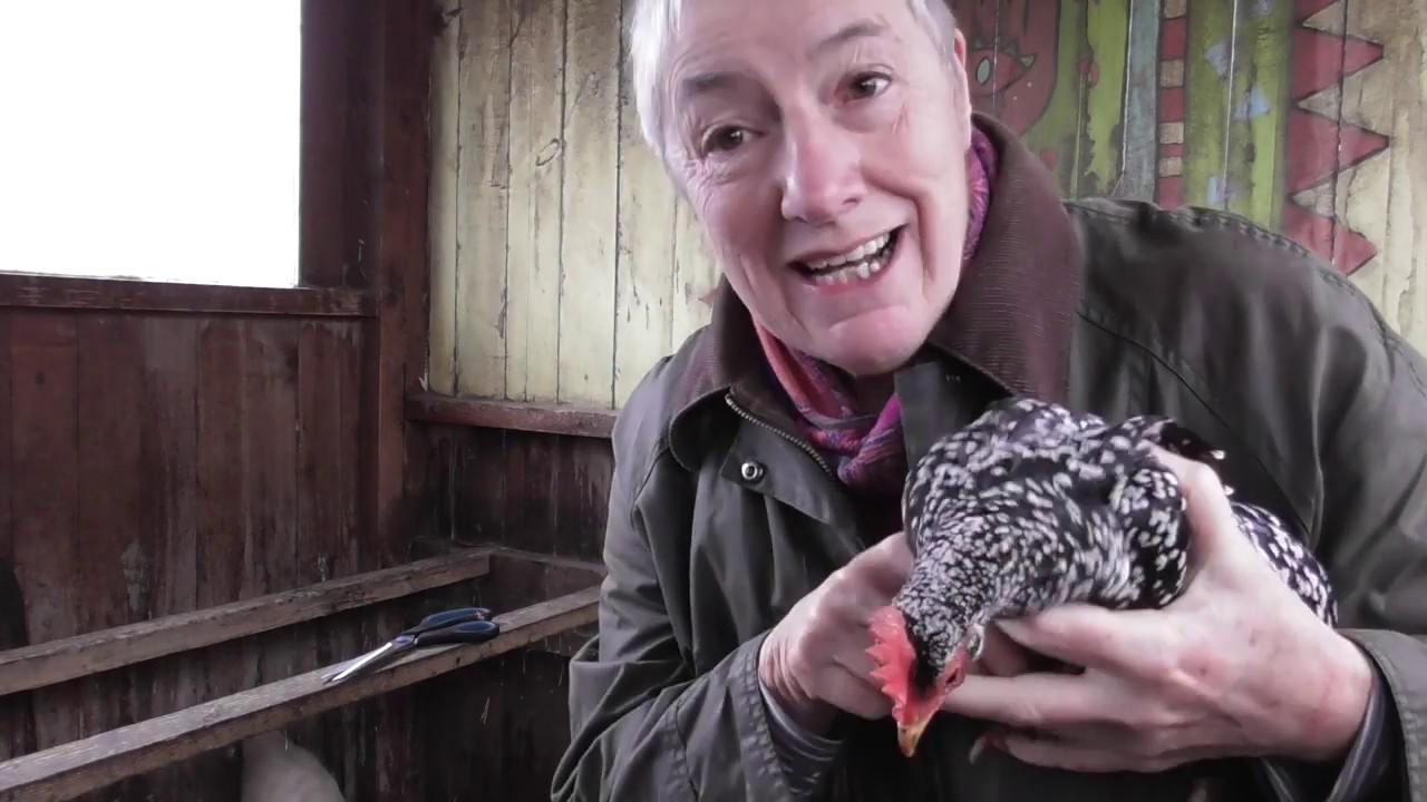 Lets say good morning to the hens and name those two