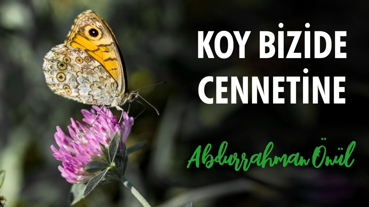 Koy Bizide Cennetine - Abdurrahman Önül | İlahiler