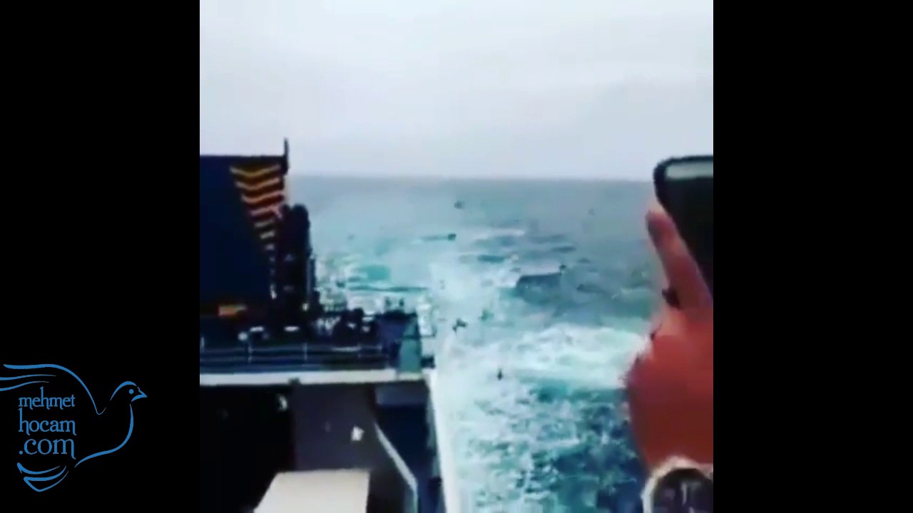 Gemilerden Salınan Yarış Güvercinleri