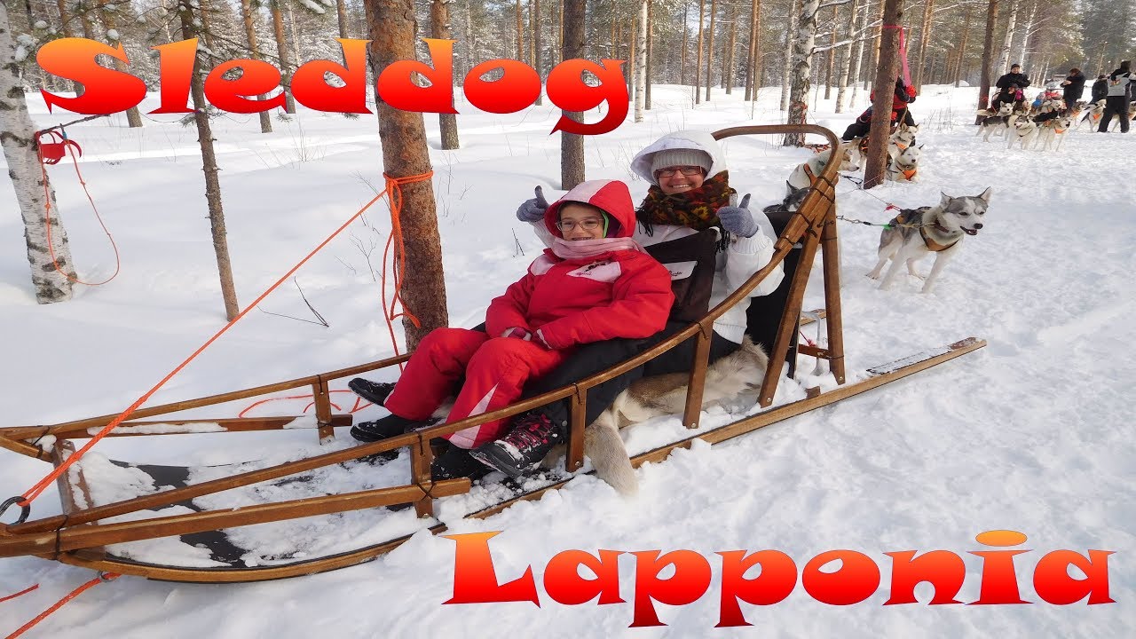Lapponia, giro in slitta con gli Husky (sleddog in Lappon)