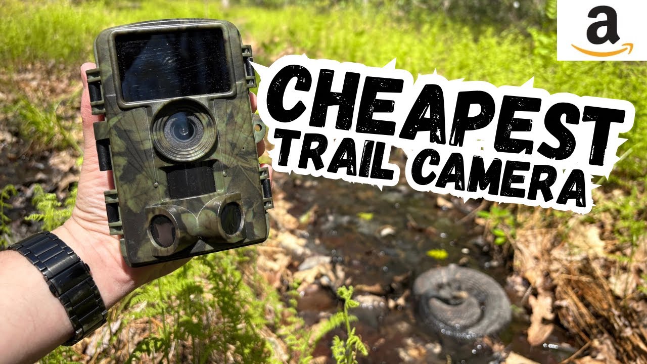 Amazons CHEAPEST Trail Camera - Worth It?!