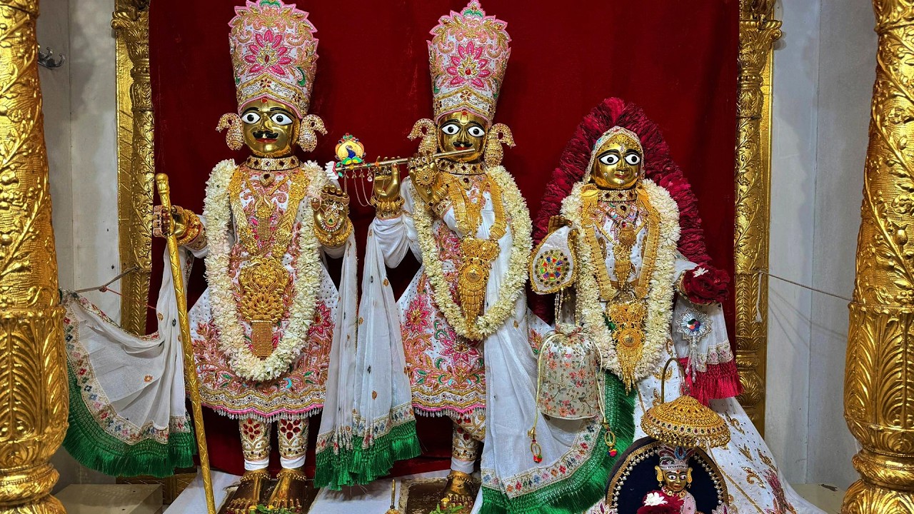 અમાશ - છ ધામના દેવોના આજના દિવ્ય શણગારના દર્શન તા:- ૧૯ / - ૦૩ /- ૨૦૨૬ | Daily Darshan