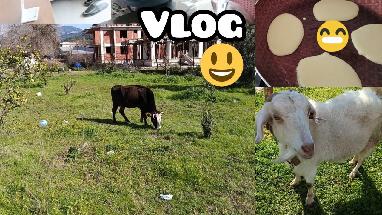 Pancake yaptık 🥞, Ev toplamaca🫠,Parka çıktık temız hava😉Markete gittik🛒