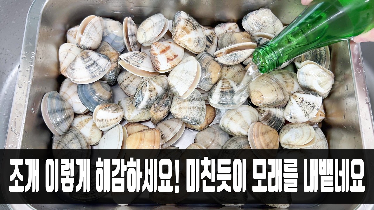 조개 해감할 때 소금만 넣지마세요! 미친듯이 모래를 토하는 방법과 맛있는 요리, 어부가 내게 가르쳐줬습니다
