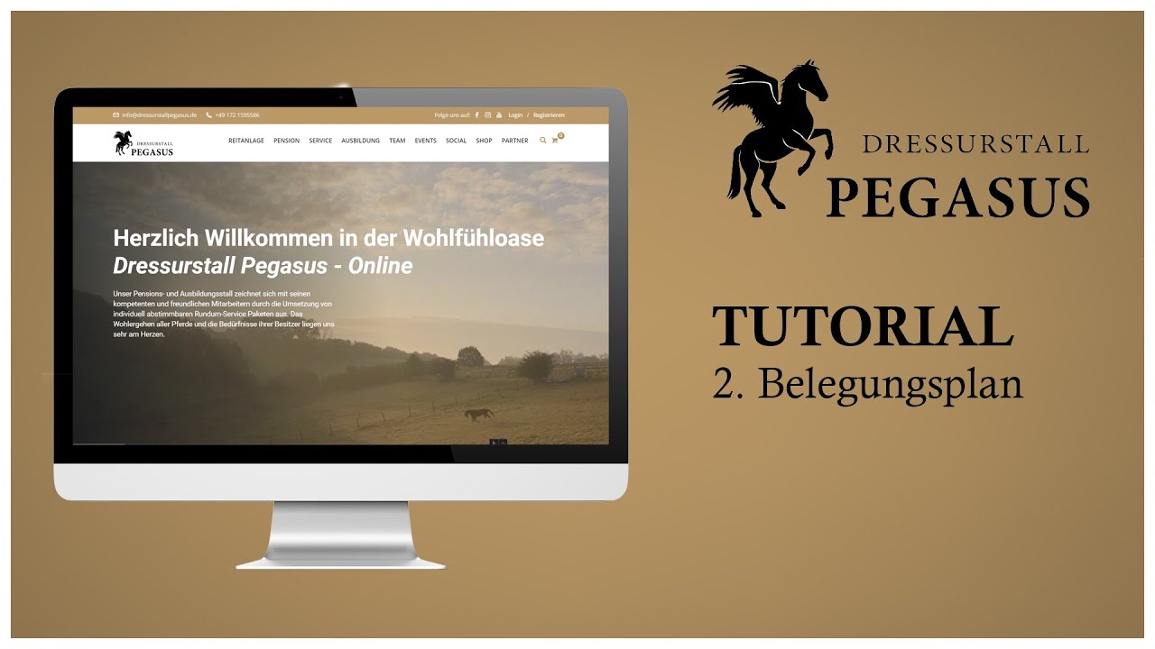 02 Tutorial Belegungsplan PegazonePega