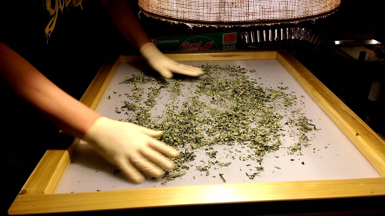 Making dry sift and dabbing it with Archie