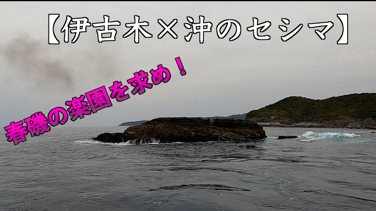 【狙いは春尾長！】枯木灘有数の名礁「グレを釣るに困らない」と言われる磯で春磯を満喫！