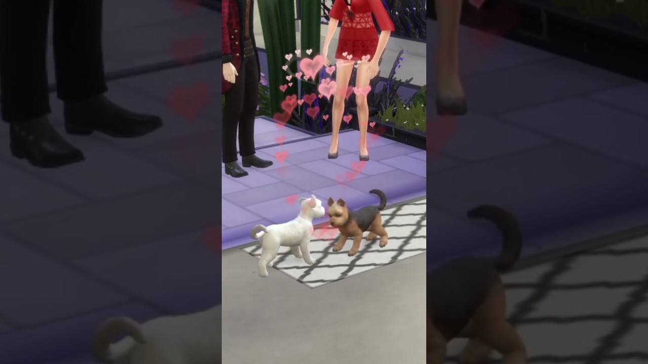 How to have puppies in The Sims 4