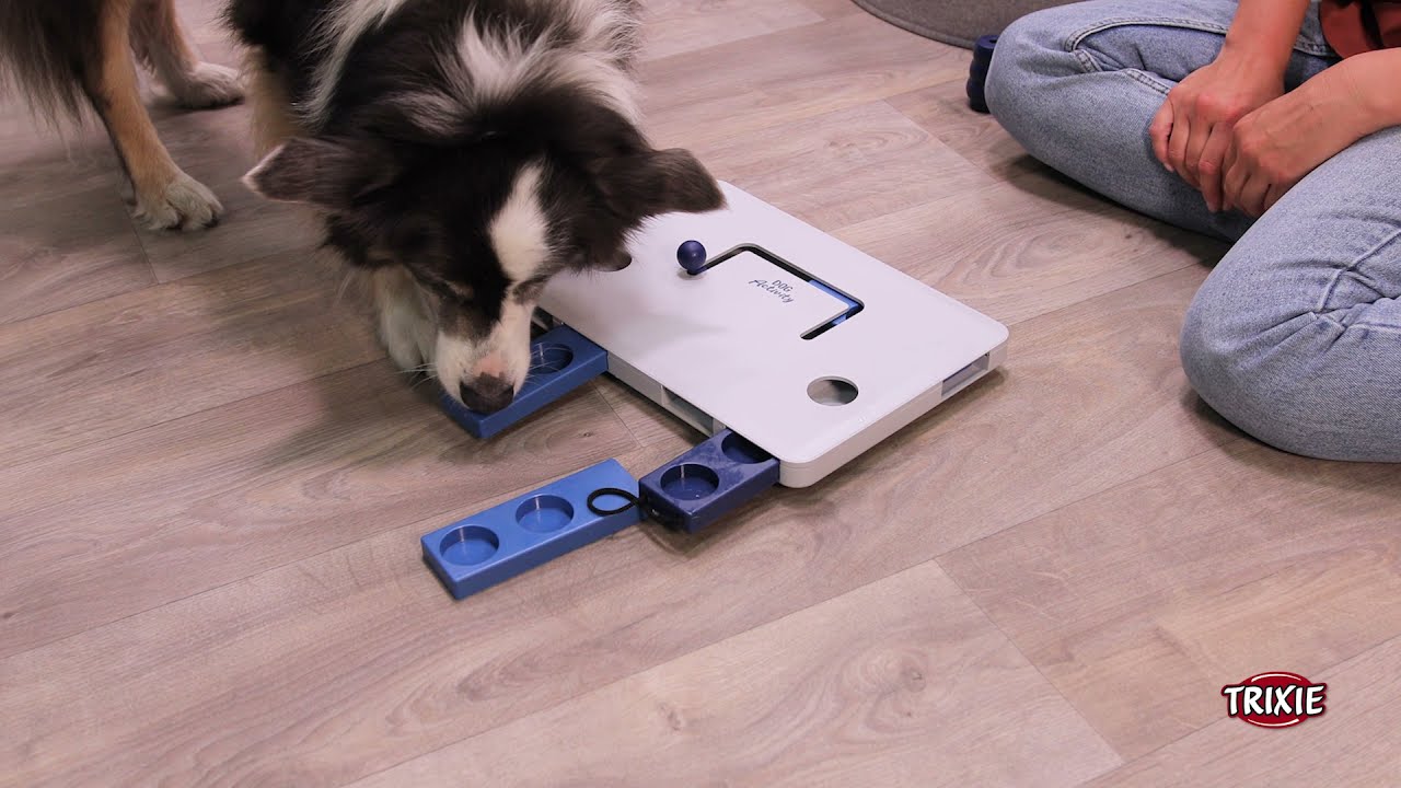 Dog Activity Strategy Game for Dogs Move2Win - Item 32025 - TRIXIE Heimtierbedarf