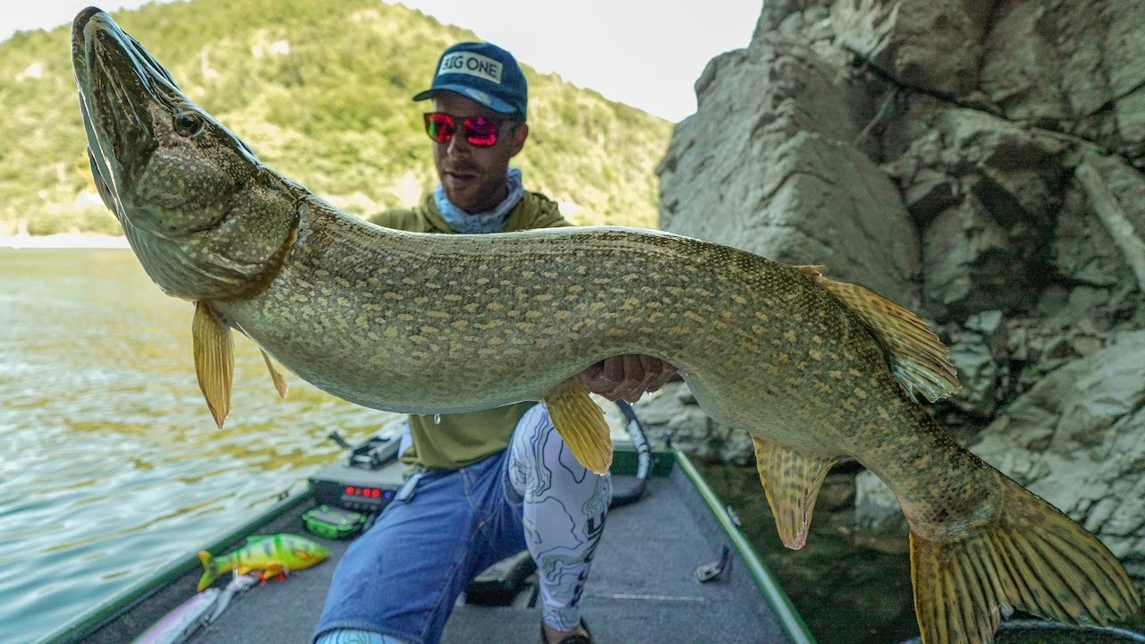 GIANT BAIT for GIANT PIKE