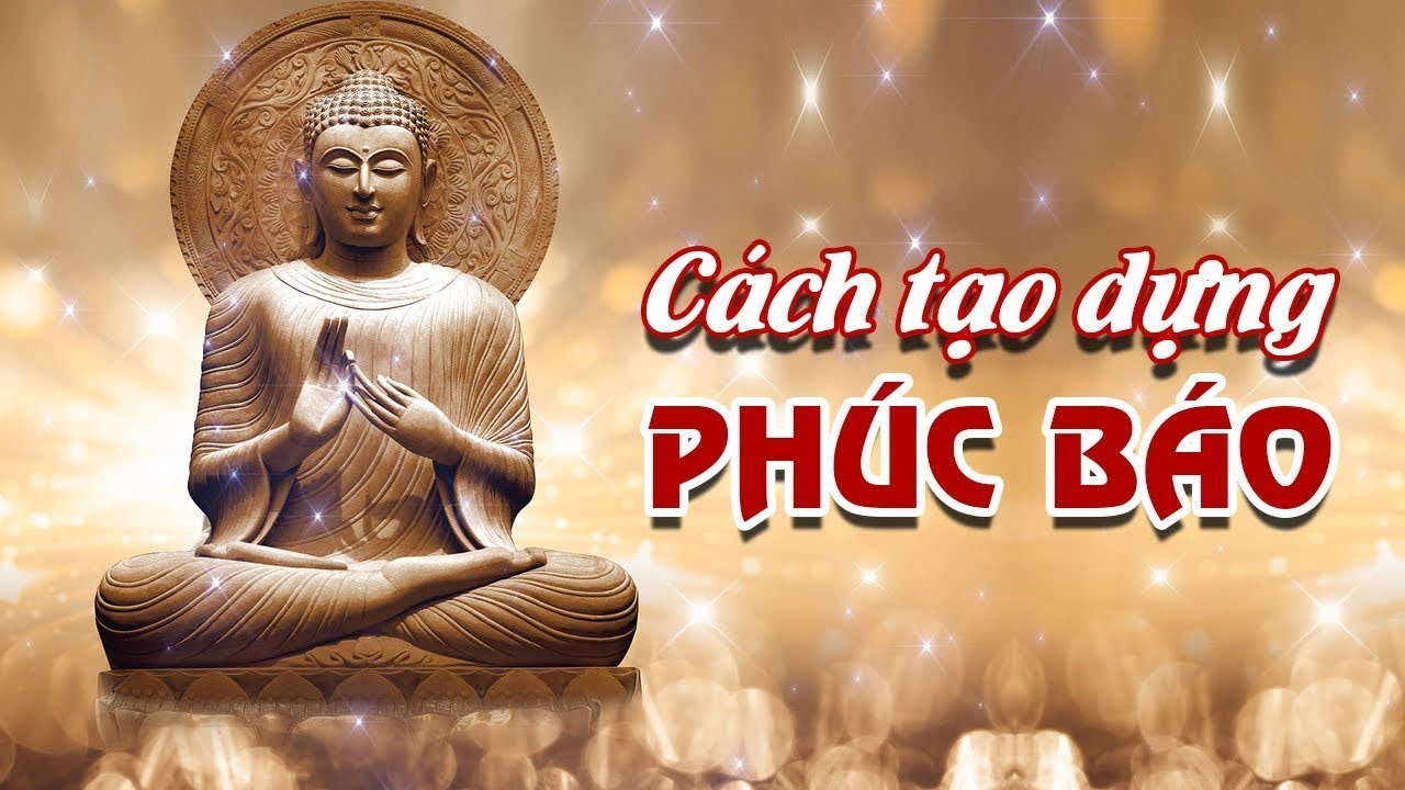 Tại Sao Con Người Cần Tích Phúc Báo I Cách Tạo Dựng Phúc Báo I Làm Gì Để Nhận Được Phúc Báo