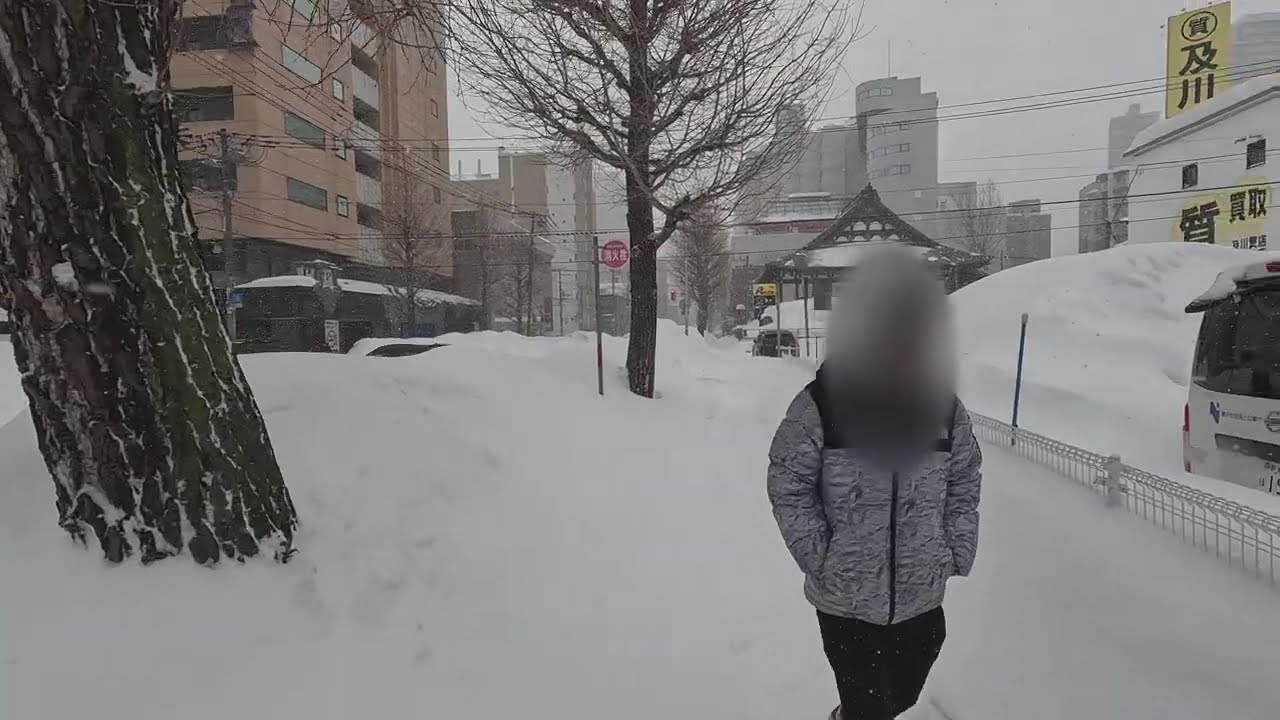 260219 Street, Sapporo