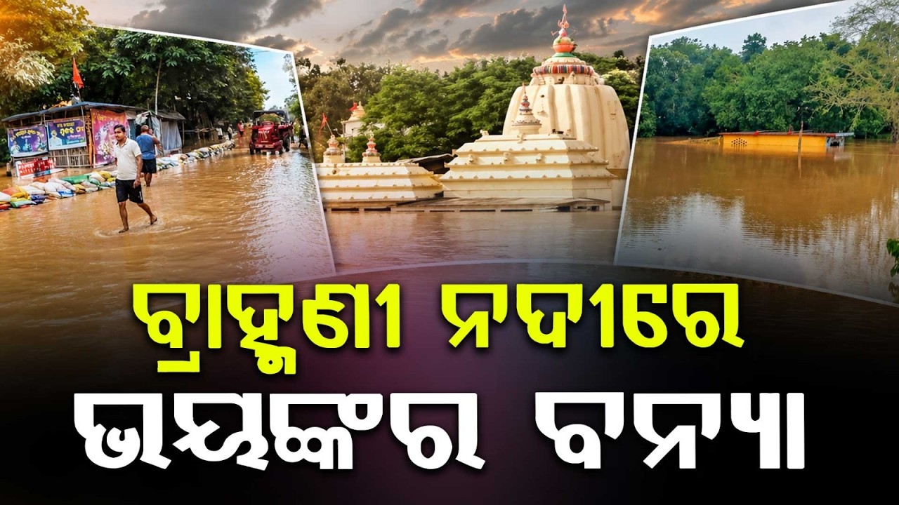 Brahmani River Crosses Danger Level At Jenapur; Two Embankment Breaches In Bari Flood | Argus News
