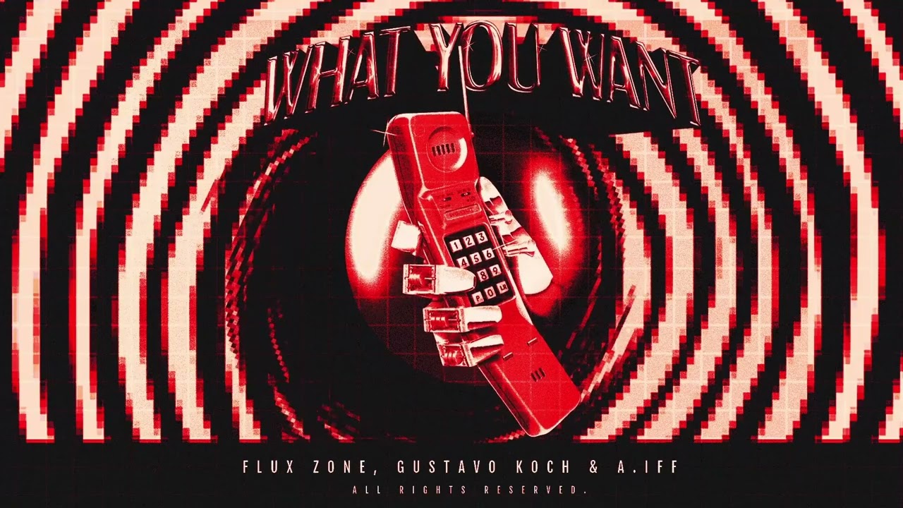 Flux Zone, Gustavo Koch & A.IFF - What You Want