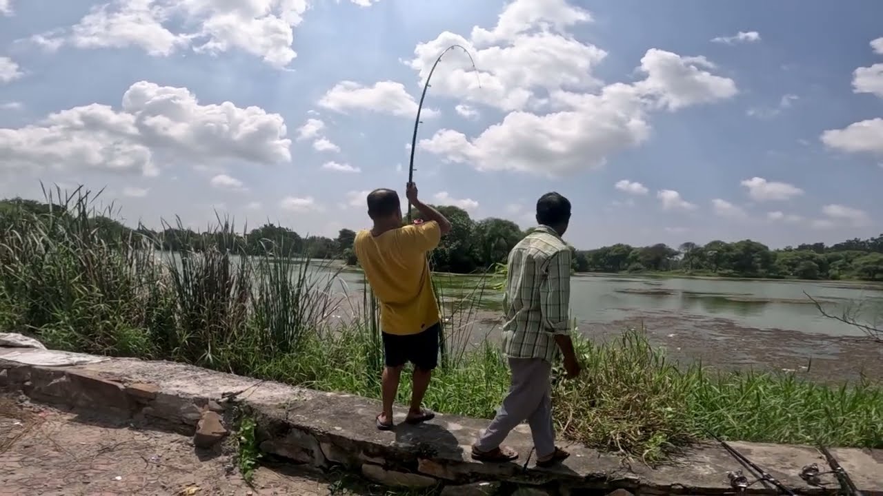 bait Ata Hunting Snackhead 🎣 |  গজল মাছ পেলা আাঠায়