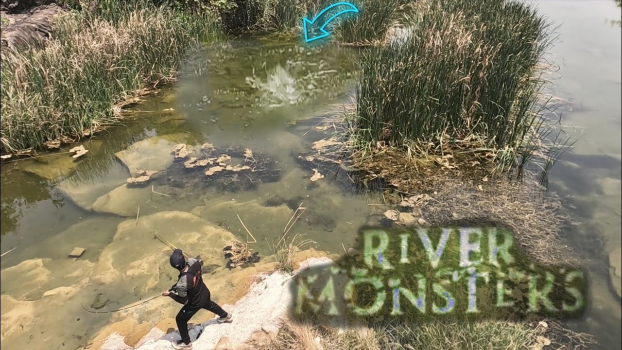 400  km दूर मिले नदीके दानव 😯 Fishing Gone Wild ✔️