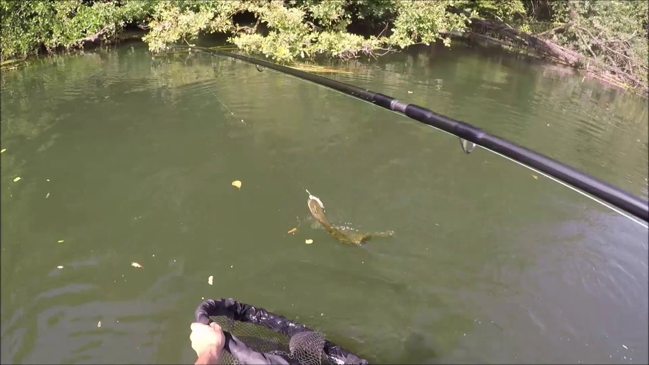 Compilation, grosse attaque de brochet a vue