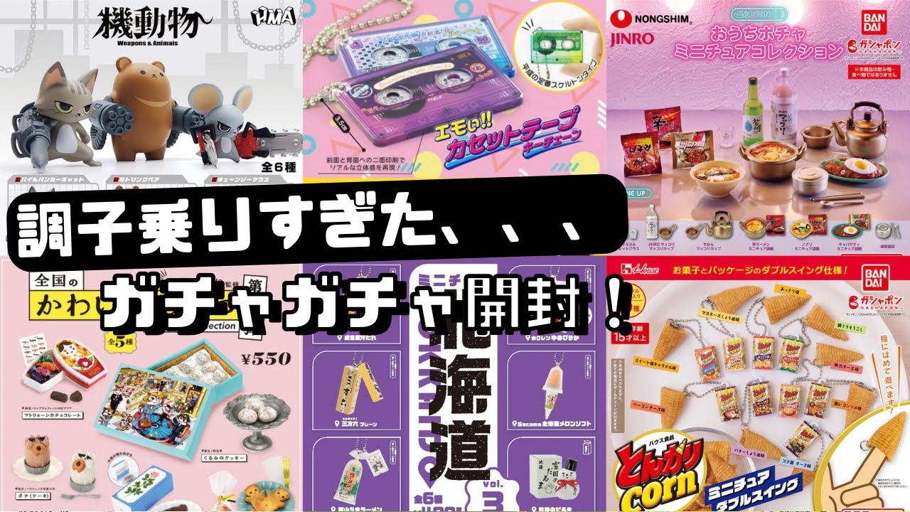 【ガチャガチャ】意地になりすぎた、、！！でもどうしても欲しかったガチャ開封！JINRO/辛ラーメン/カセット